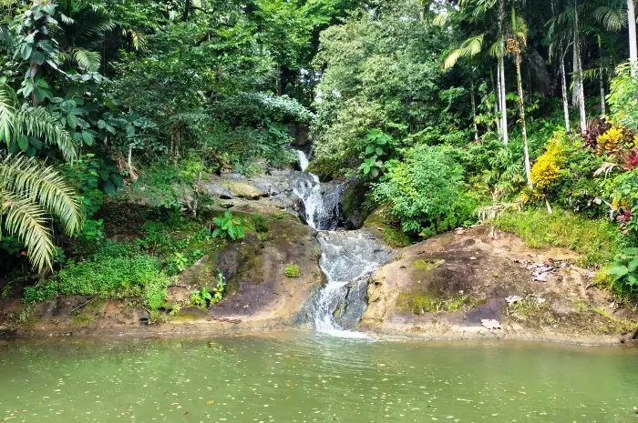 Ticket Prices and Operating Hours of Pinang Seribu Waterfall